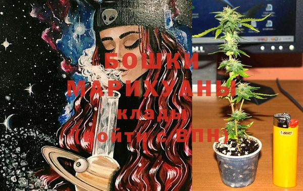 крисы Тутаев