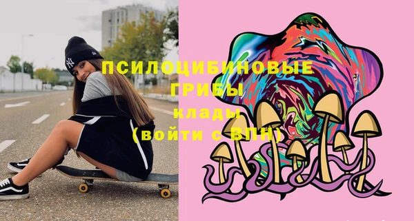 крисы Тутаев