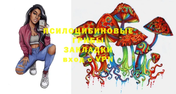 не бодяженный Туринск