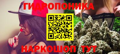 прущие грибы Краснознаменск