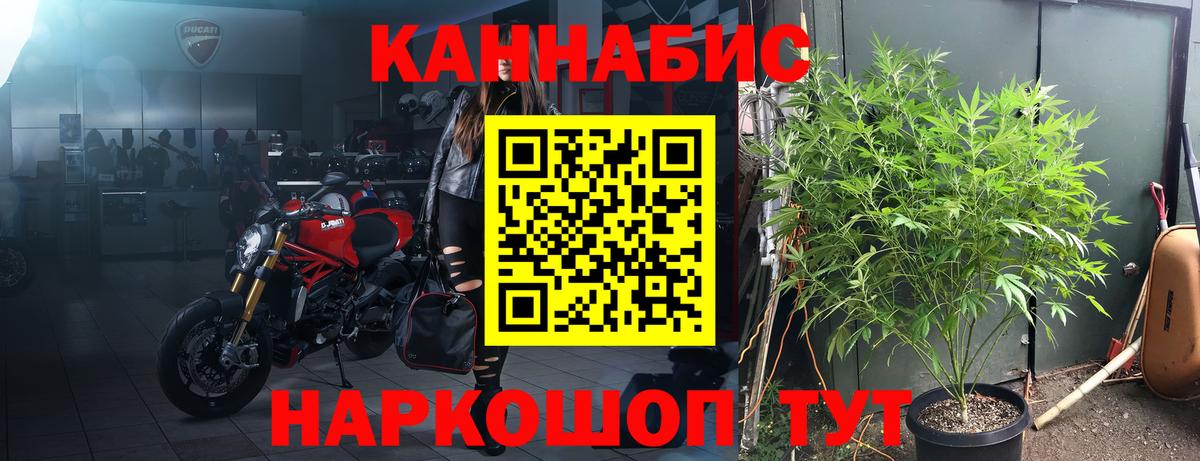 МАРИХУАНА сатива  Вход с VPN  Конопля планчик  Шатура 